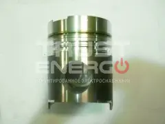 Поршень TDS 555 12VTE/Piston